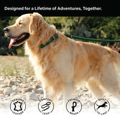 Scout Supply Co. Classic Leather Leash waterproof strap ready for all-weather adventures.