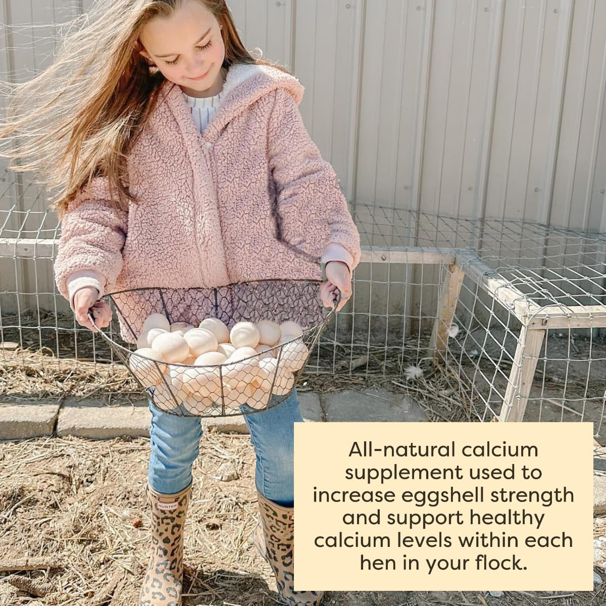 Scratch and Peck oyster shell supplement in a barn scene promoting a healthy laying flock.