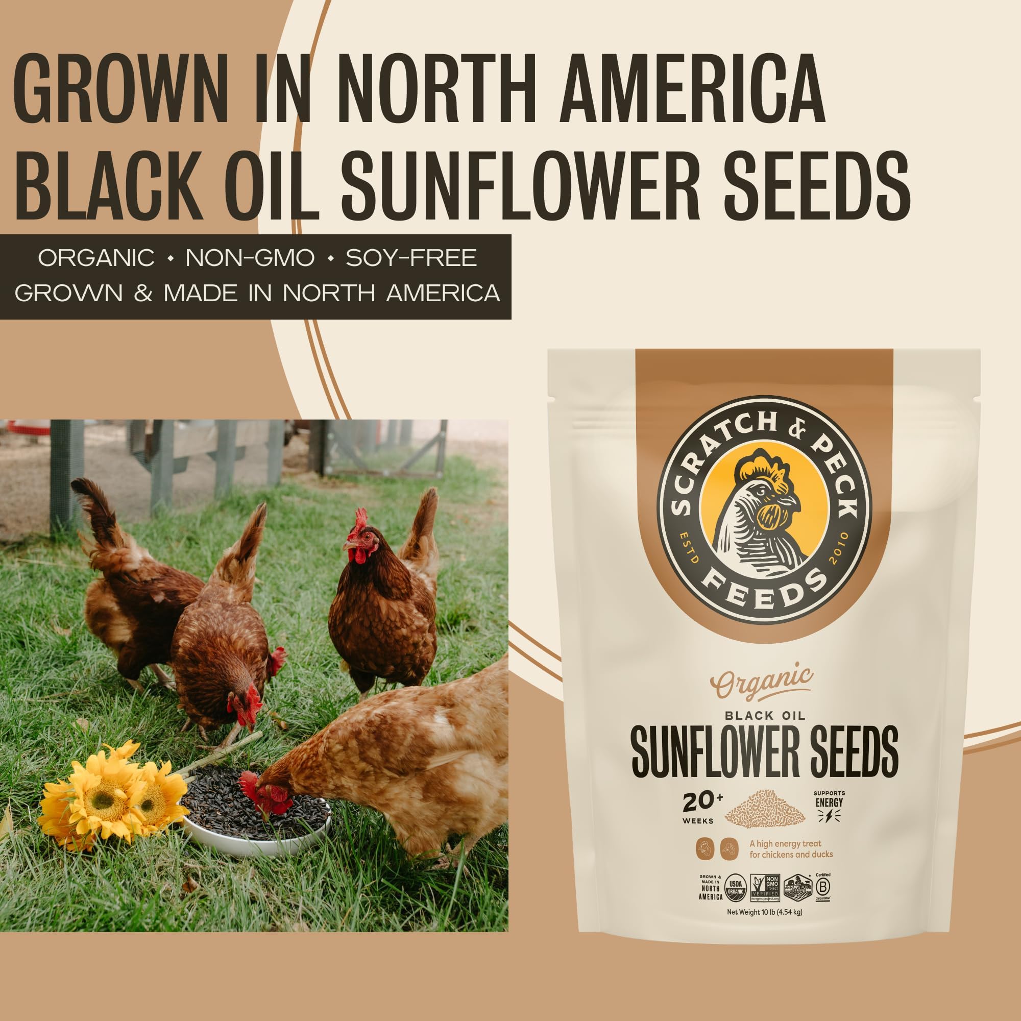 Scratch and Peck sprouting seeds in a tray for year-round nutrition.