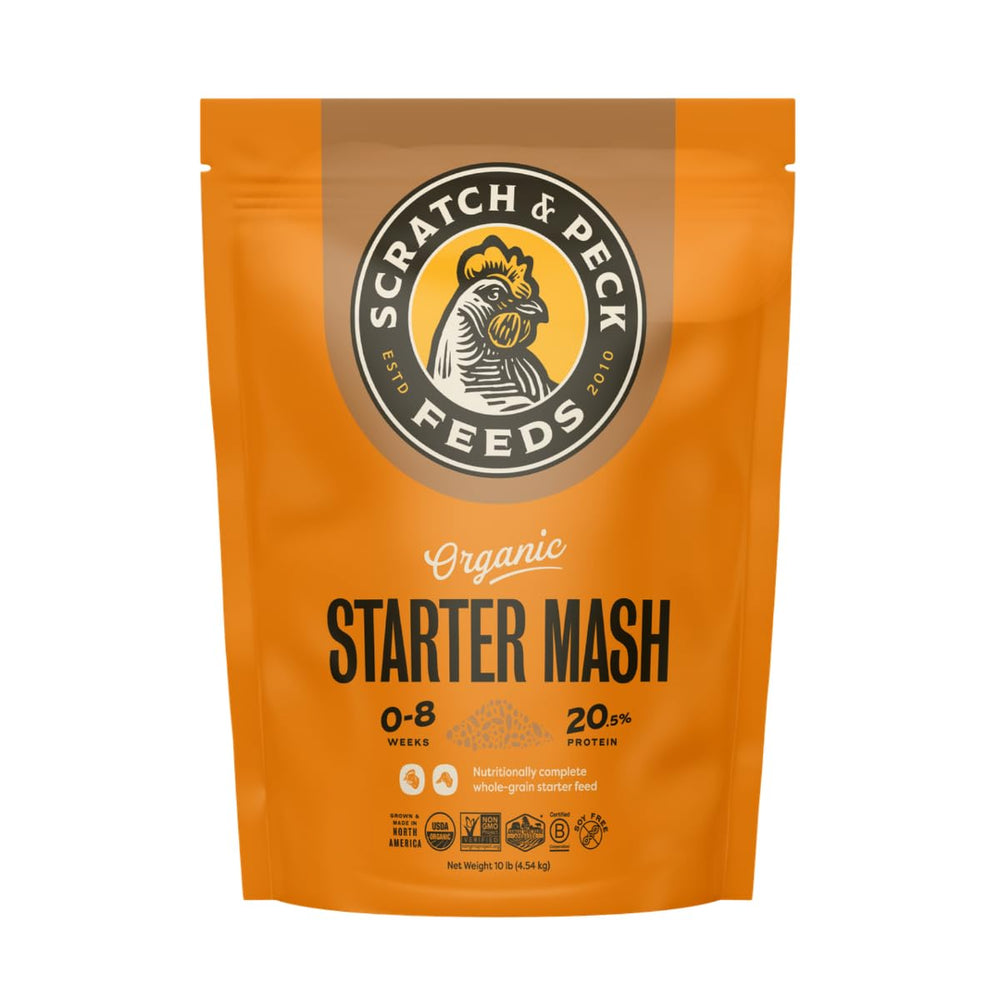 Scratch and Peck Starter Mash pour shows protein-rich feeding for healthy chick growth.