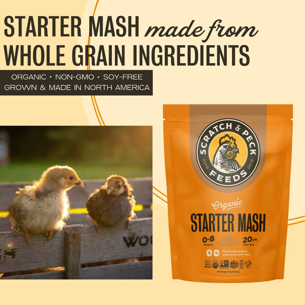 Scratch and Peck Starter Mash ducklings-feeder highlights high-protein nutrition for early growth.