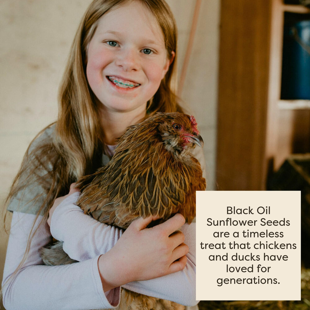 Scratch and Peck seeds sourced in North America supporting local farming.