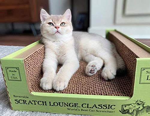 Scratch Lounge XL eco-friendly cardboard underlines recyclable materials and safe composition.