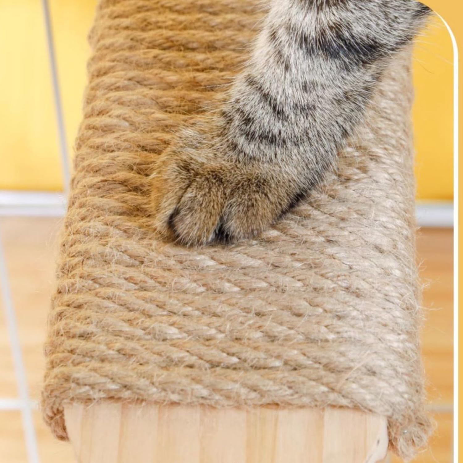 SCSFCVIUS cat-perch-sisal-rope-durability close-up shows resilient scratching.