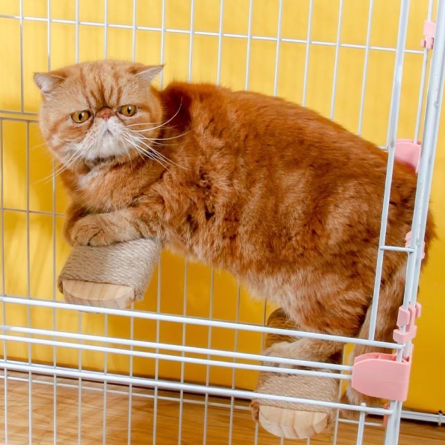 SCSFCVIUS cat-scratching-steps-hardware-included image emphasizes easy installation.