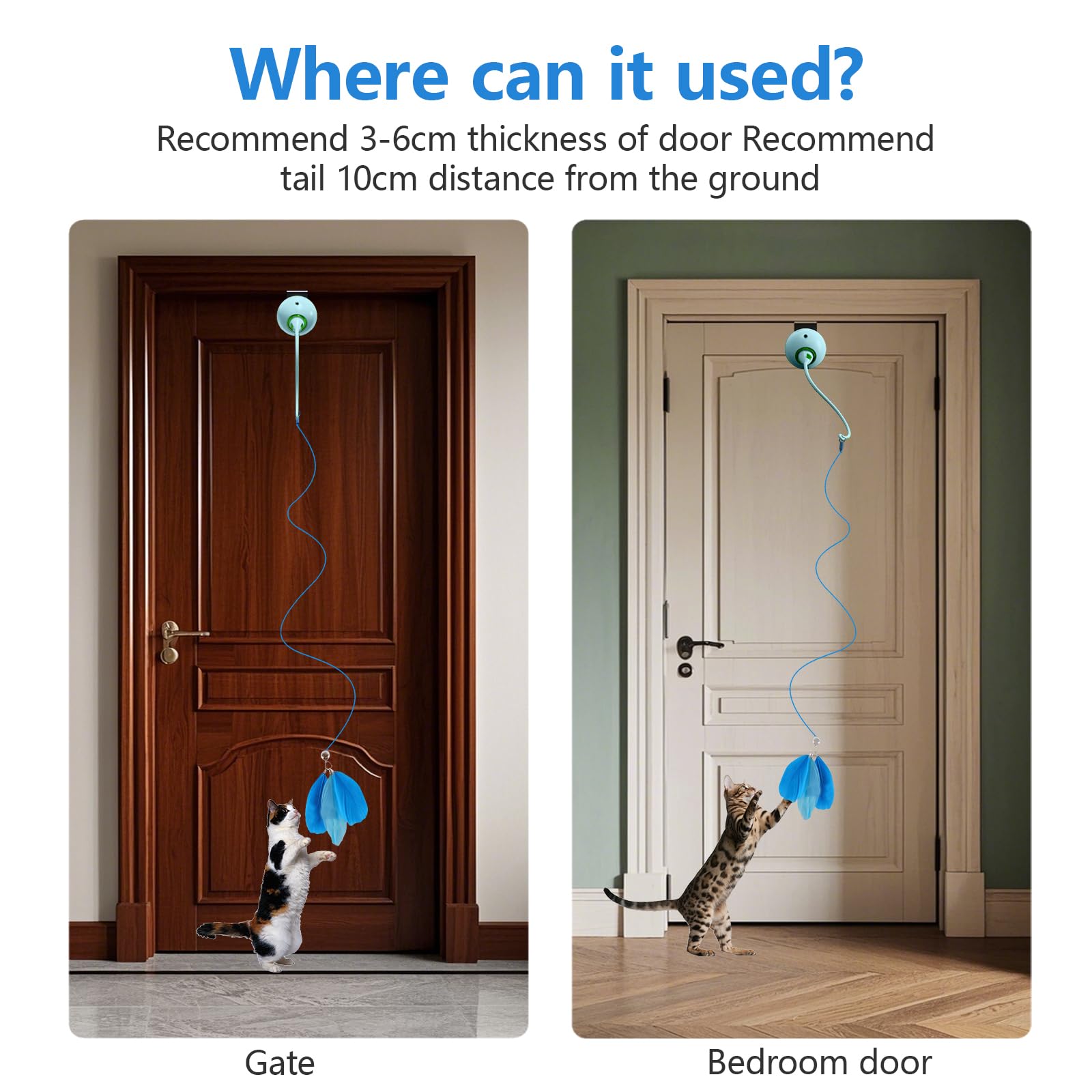 Scsuupoee feather accessory blue boosts interactive play and enrichment.