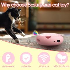 Scsuupoee toy's rounded edges protect claws during safe play sessions
