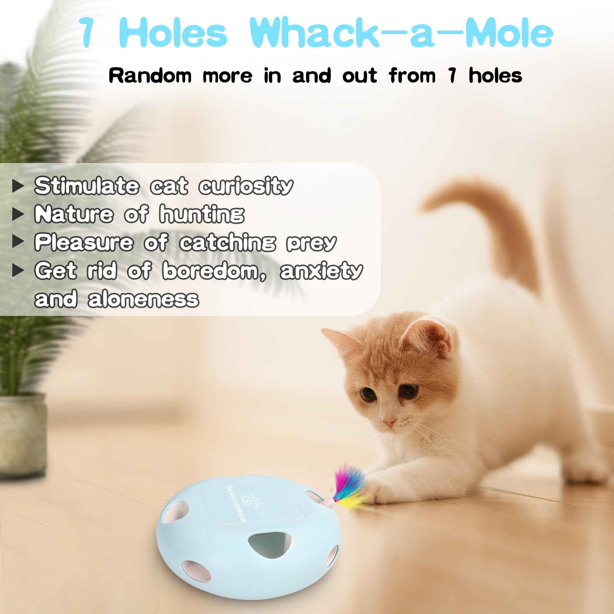 Scsuupoee top-cover design allows easy feather exchange for fresh play ideas.