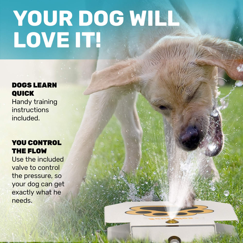 Scuddles brass-valve aids smooth water flow for reliable outdoor hydration.