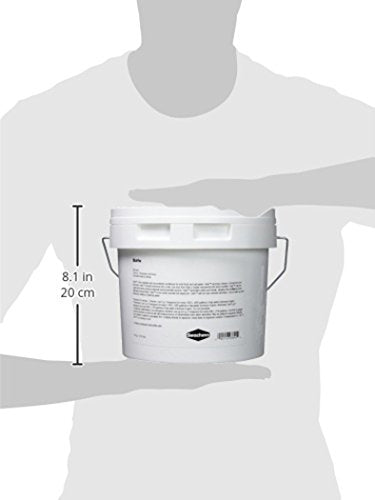 Seachem Safe container front view emphasizing high concentration for fresh and saltwater.