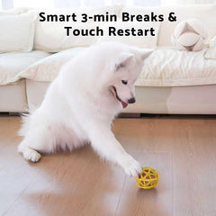 seagi interactive dog ball USB rechargeable keeps play uninterrupted and eco-friendly