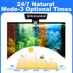 SEAOURA aquarium light color cycle mode delivers dynamic day-to-night lighting.