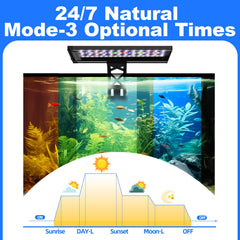 SEAOURA clip-on aquarium light with 7 colors mode enables mood-enhancing tank ambiance.