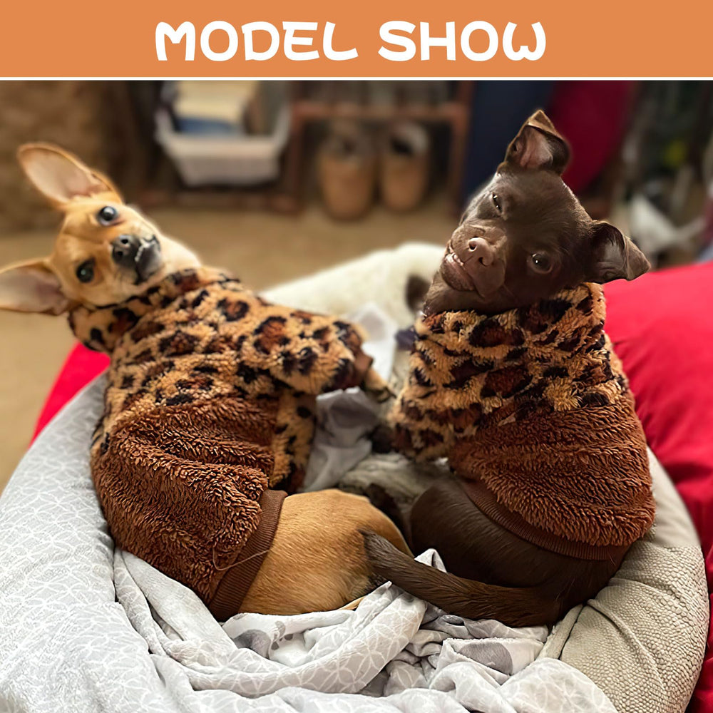 Sebaoyu dog hoodie on a playful pup shows versatile winter wear and style.