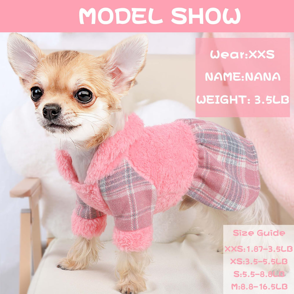 Sebaoyu Winter Dress on-dog-model demonstrates adorable look with practical warmth on chilly outings.