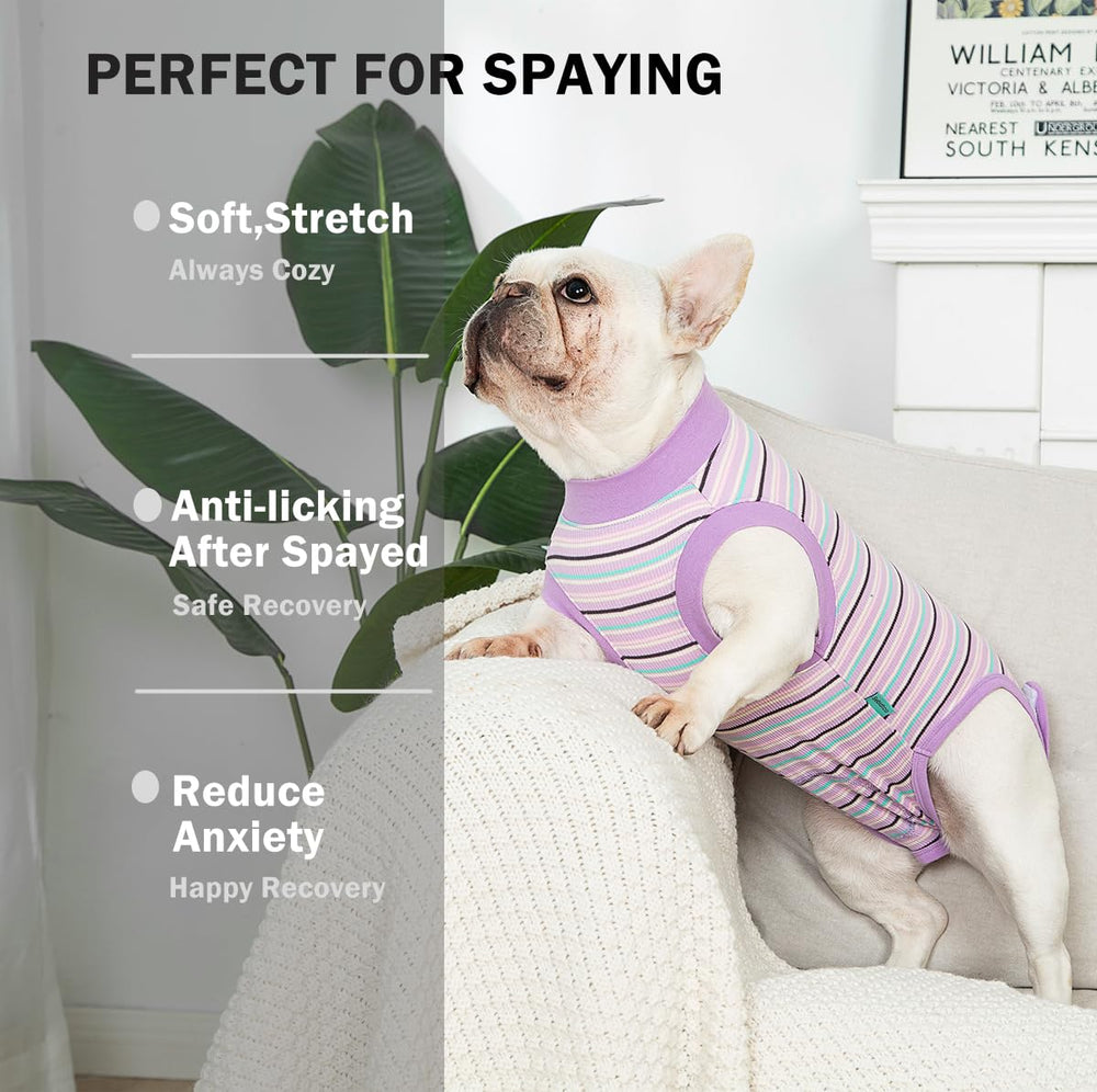 Sebidtco dog surgery onesie female spay illustrating easy on/off design