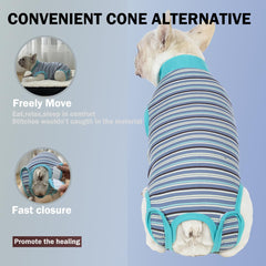 Sebidtco dog surgery suit shows easy on-off design for quick changes.