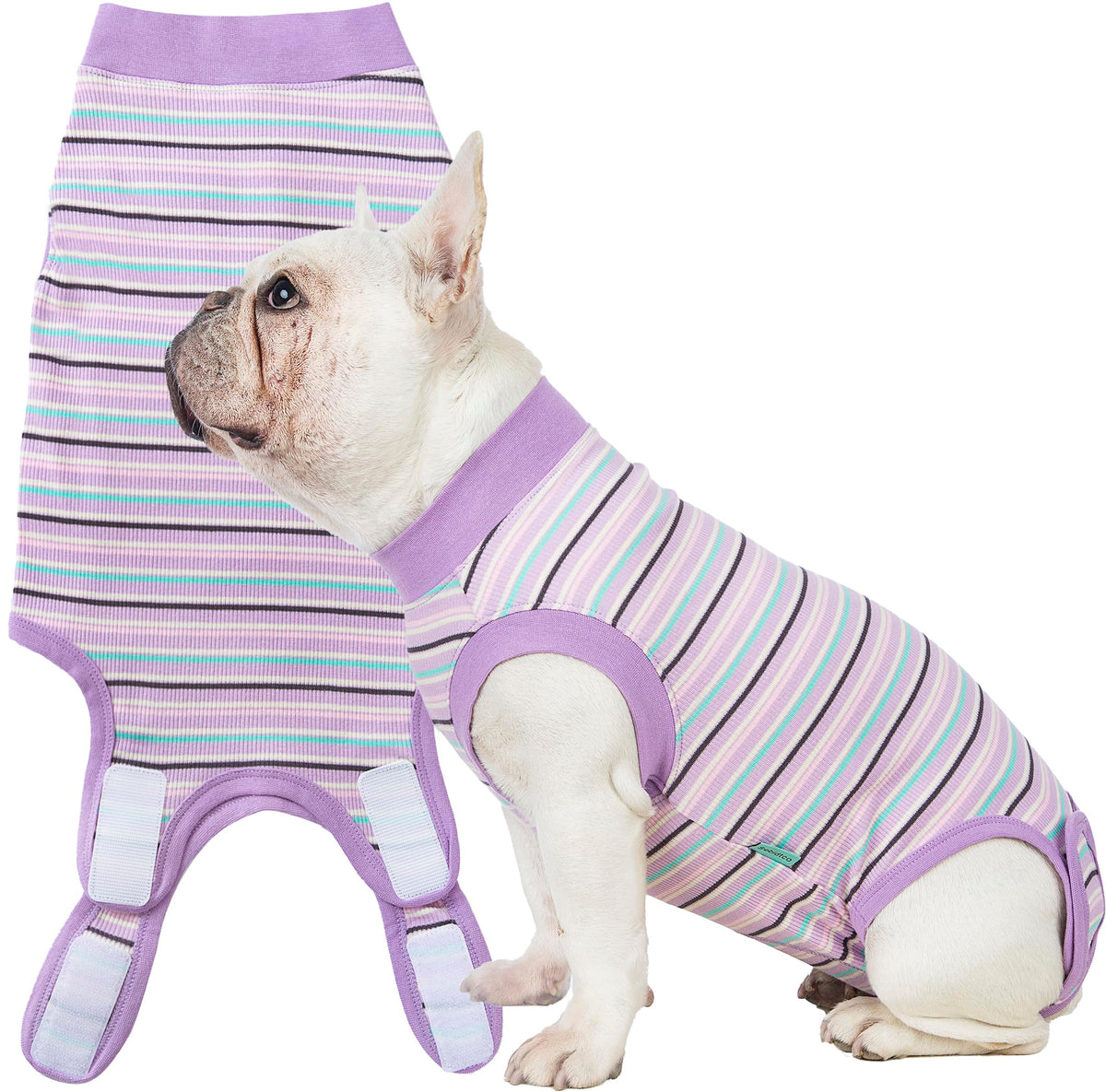 Sebidtco recovery suit for dogs post-op protecting wounds and reducing licking