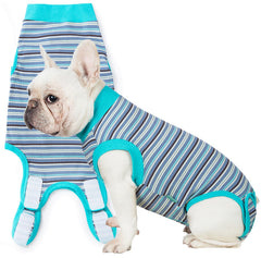 Sebidtco recovery suit for dogs front view prevents licking and supports comfortable healing