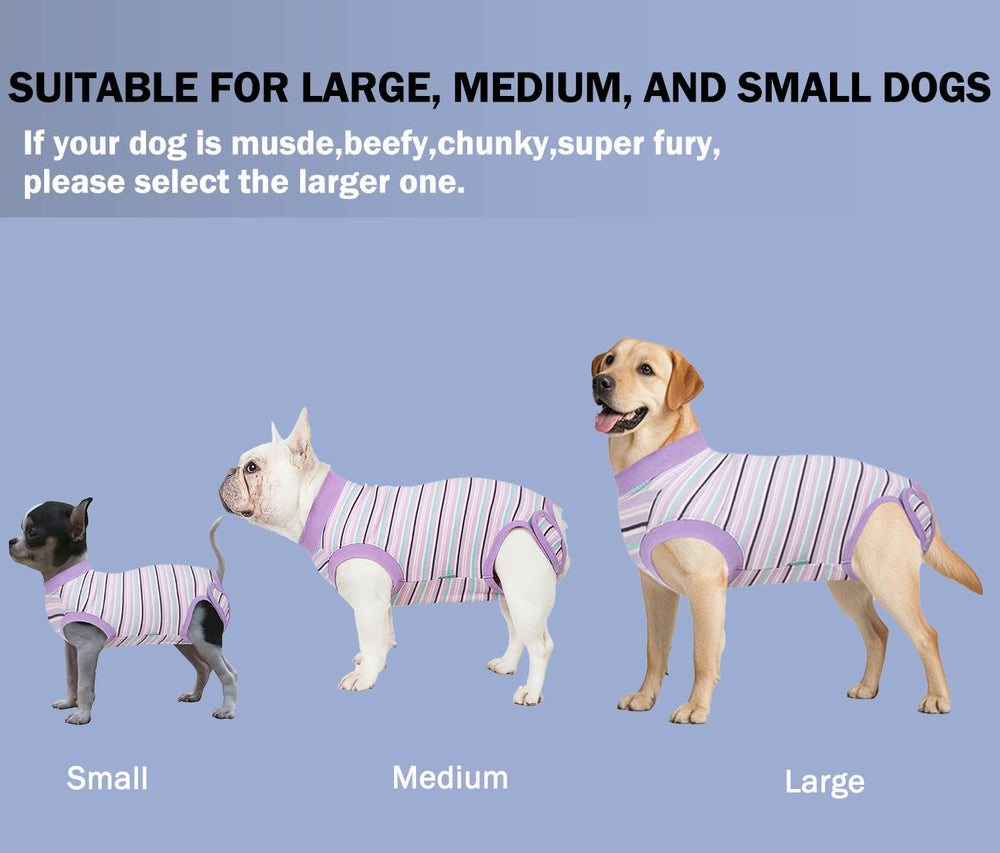 Sebidtco size chart shown for precise fit during canine recovery