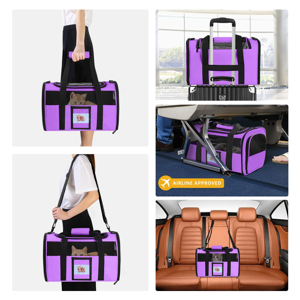 SECLATO cat carrier collapsible design makes storage easy when not in use.