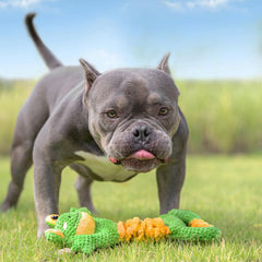 Sedioso Frog Tug Toy crinkle-inside highlights tactile cues that boost playtime and curiosity.