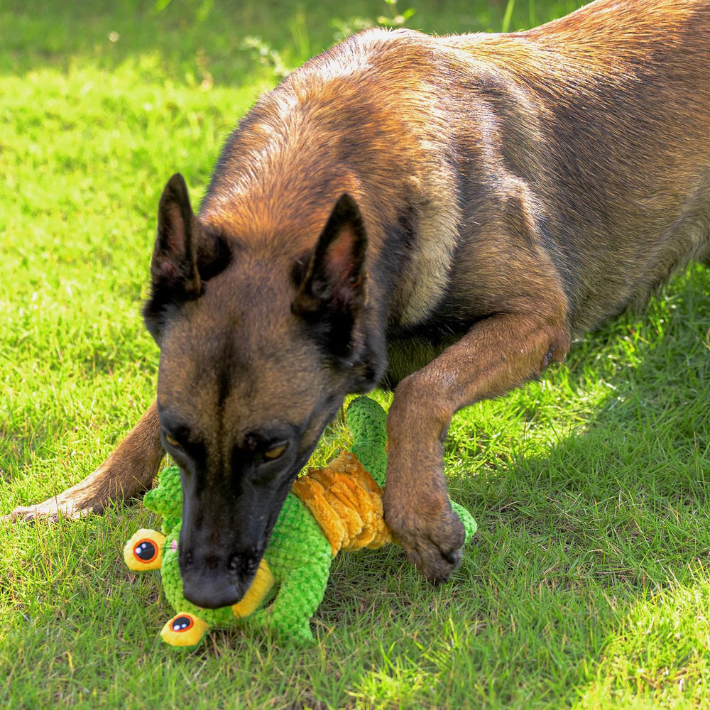 Sedioso Frog Tug Toy in-use image shows active tug-of-war moments and bonded fun.