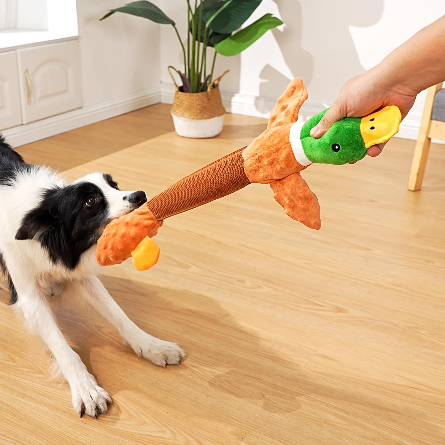 Sedioso duck toy squeaker-press activates a friendly sound cue during play.