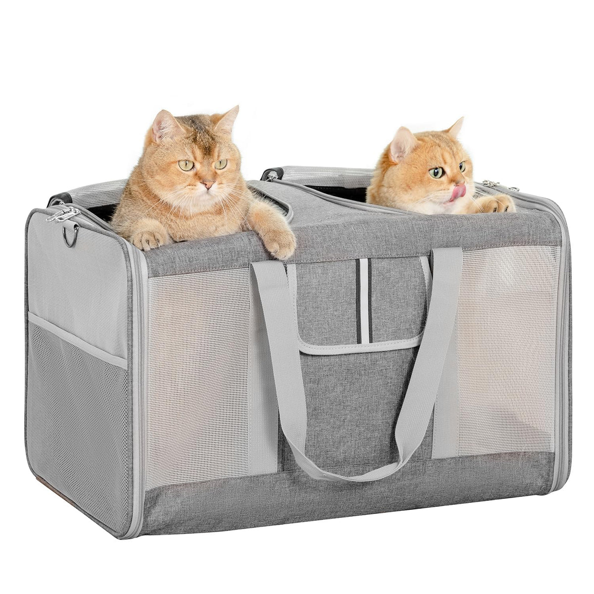 Sedioso extra-large cat carrier interior showing space for two cats