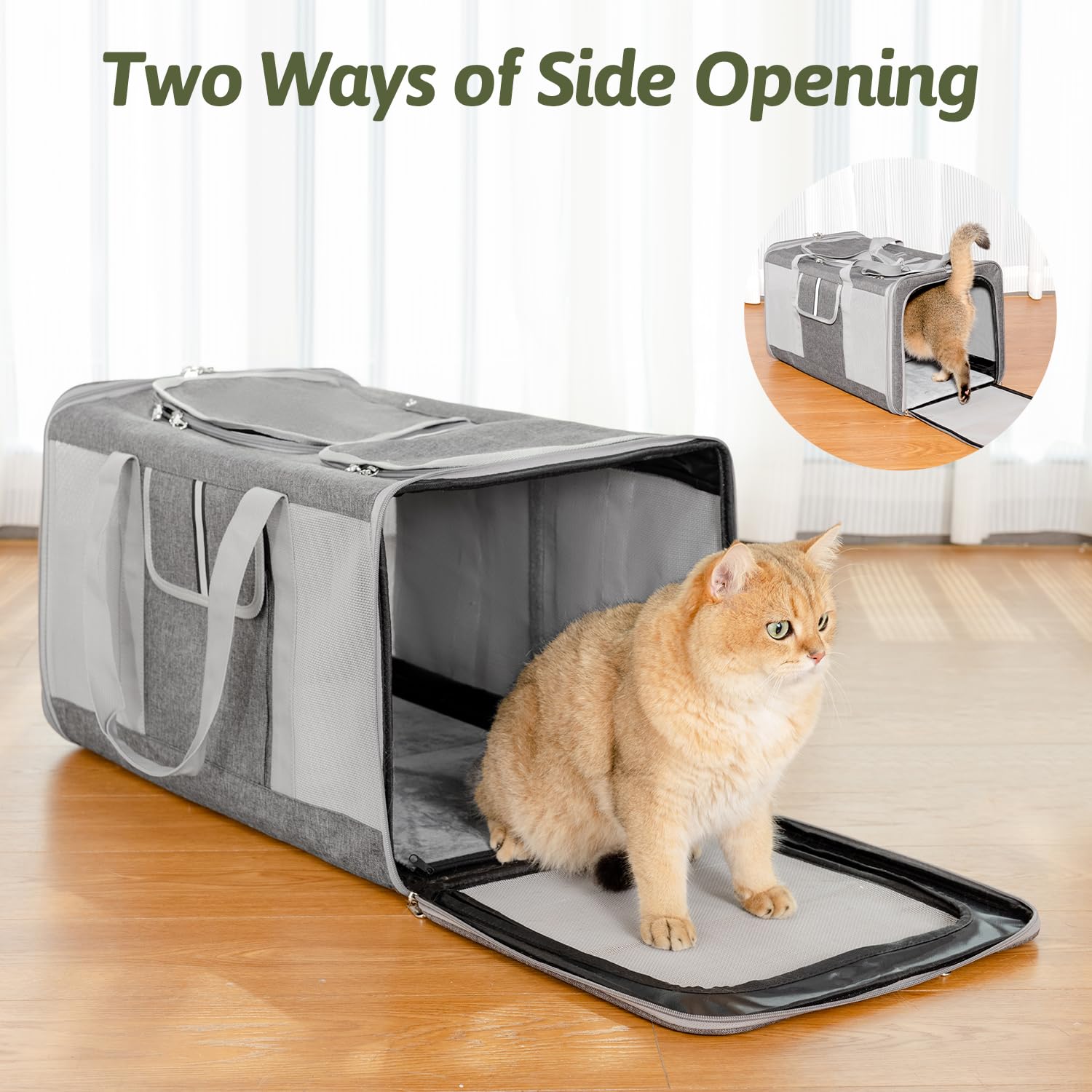 Sedioso foldable soft-sided carrier designed for compact storage