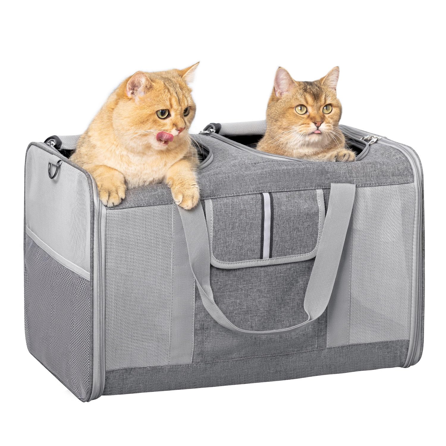 Sedioso large cat carrier exterior view showing spacious travel for two pets