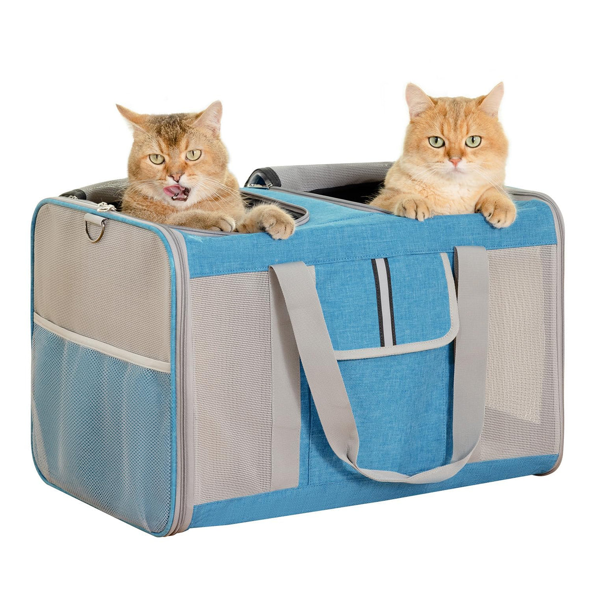 Sedioso Large Cat Carrier inside two cats view for comfortable two-cat transport.