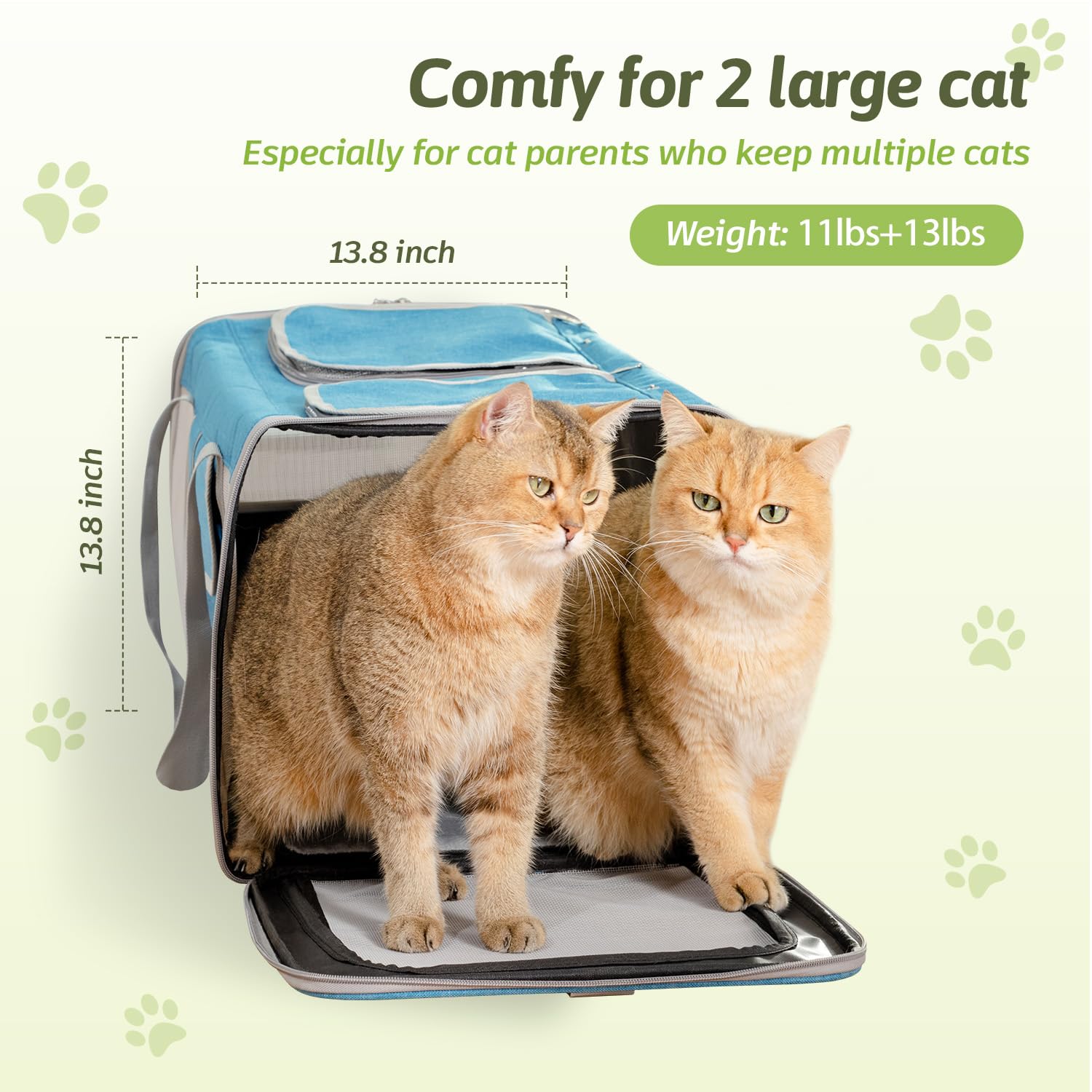 Sedioso Large Cat Carrier upper opening doors for easy access and peeking.