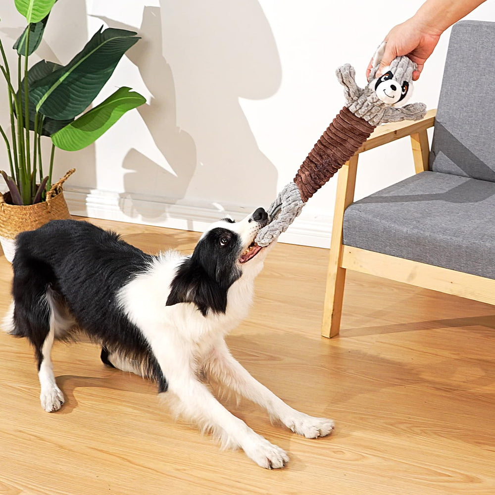 Sedioso Tug of War dog toy demonstrates suitability for dogs of all sizes.