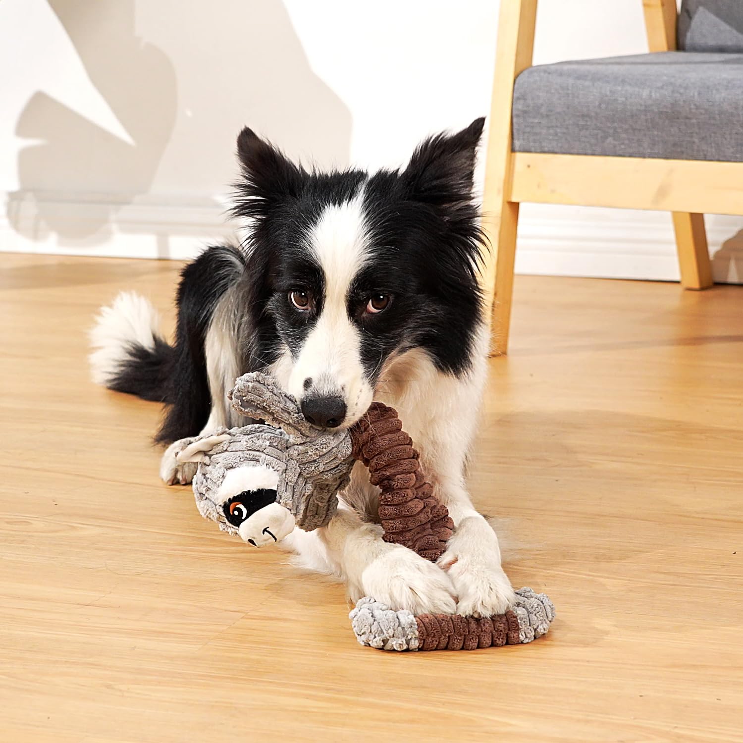 Sedioso Tug of War dog toy washable option shown for easy cleaning after play.