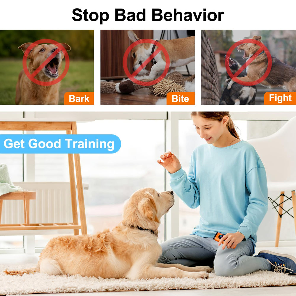 SEDULAN dog bark deterrent in-use demonstrates training without physical distress.