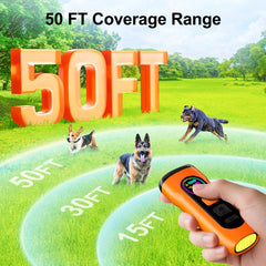 SEDULAN LED-light view demonstrates night-time visibility for safer evening walks.