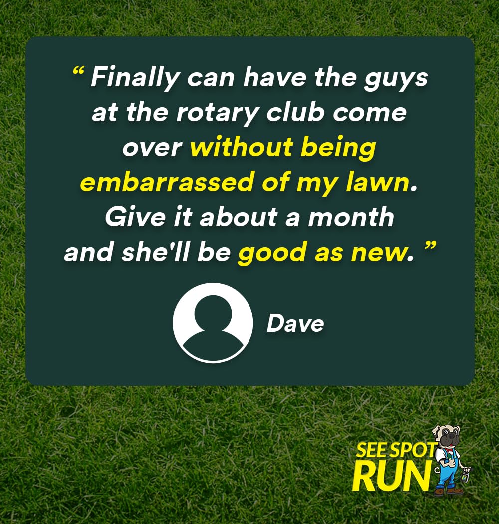 See Spot Run after-use results suggest turf recovery and a healthier-looking lawn.