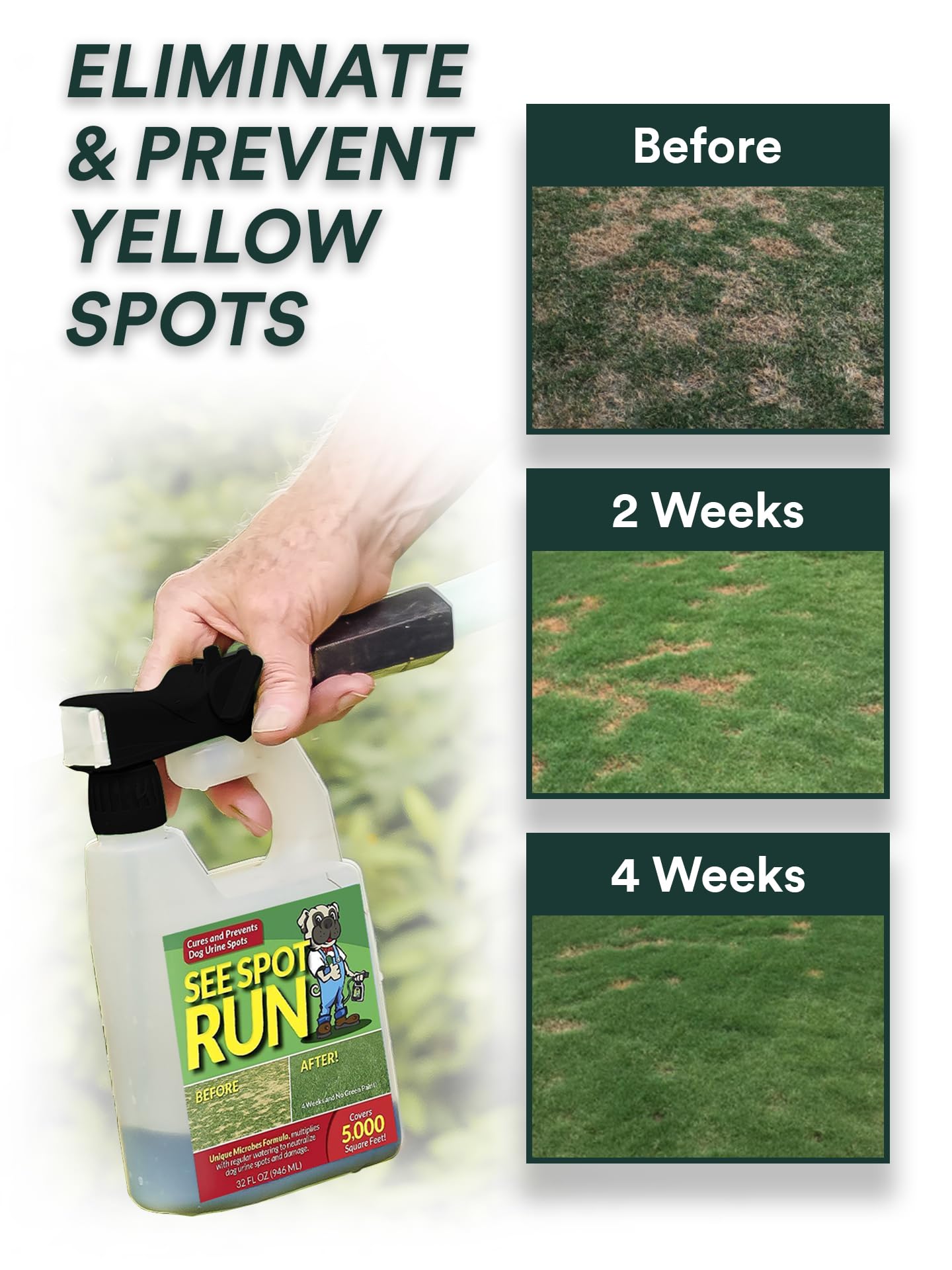 See Spot Run hose-end attachment sprayer enables easy, even application across your yard.