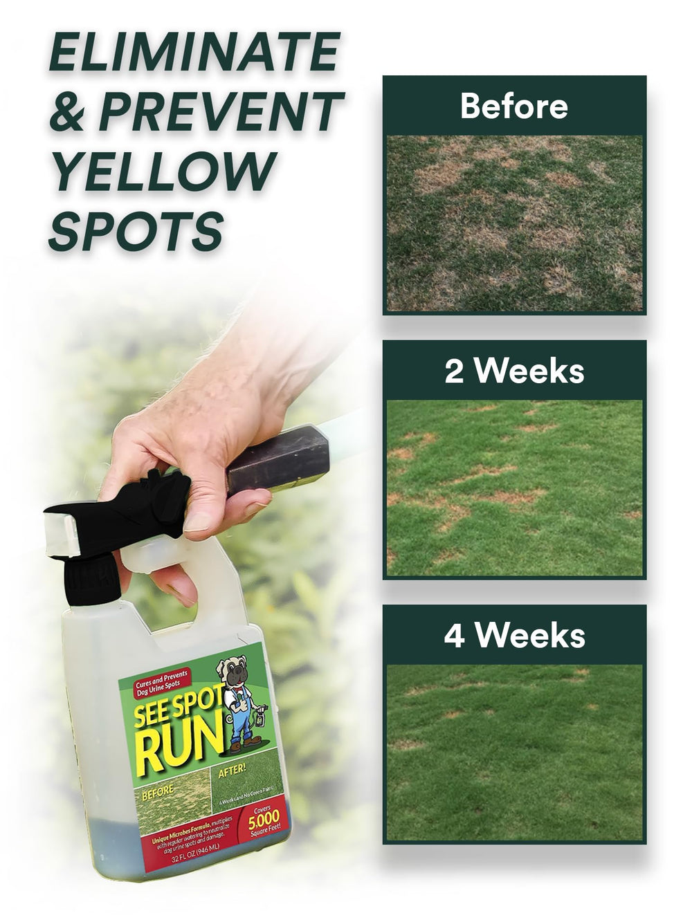 See Spot Run hose-end attachment sprayer enables easy, even application across your yard.