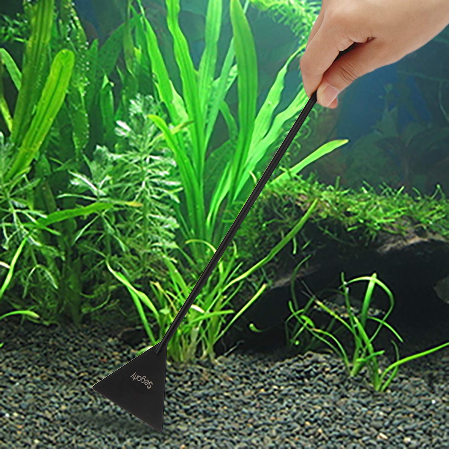 Segarty fish-starter-kit eases safe setup and care.