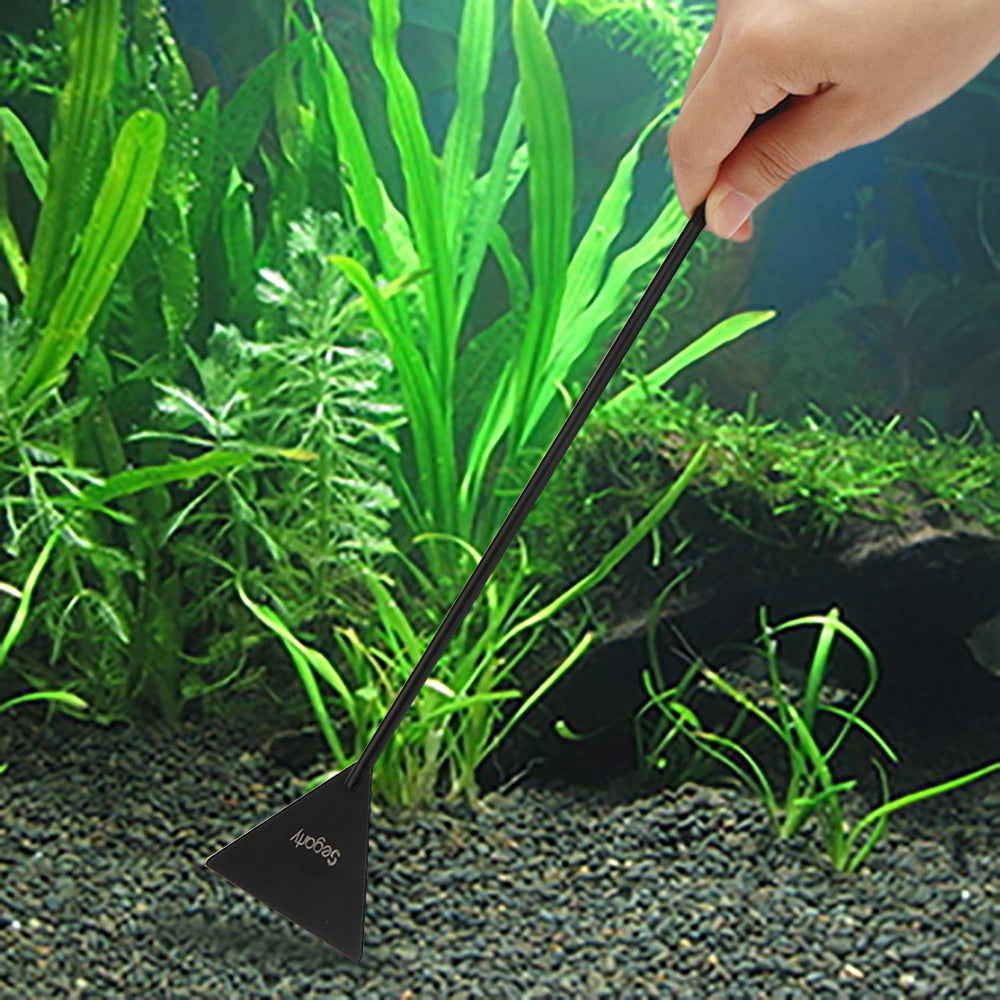 Segarty fish-starter-kit eases safe setup and care.