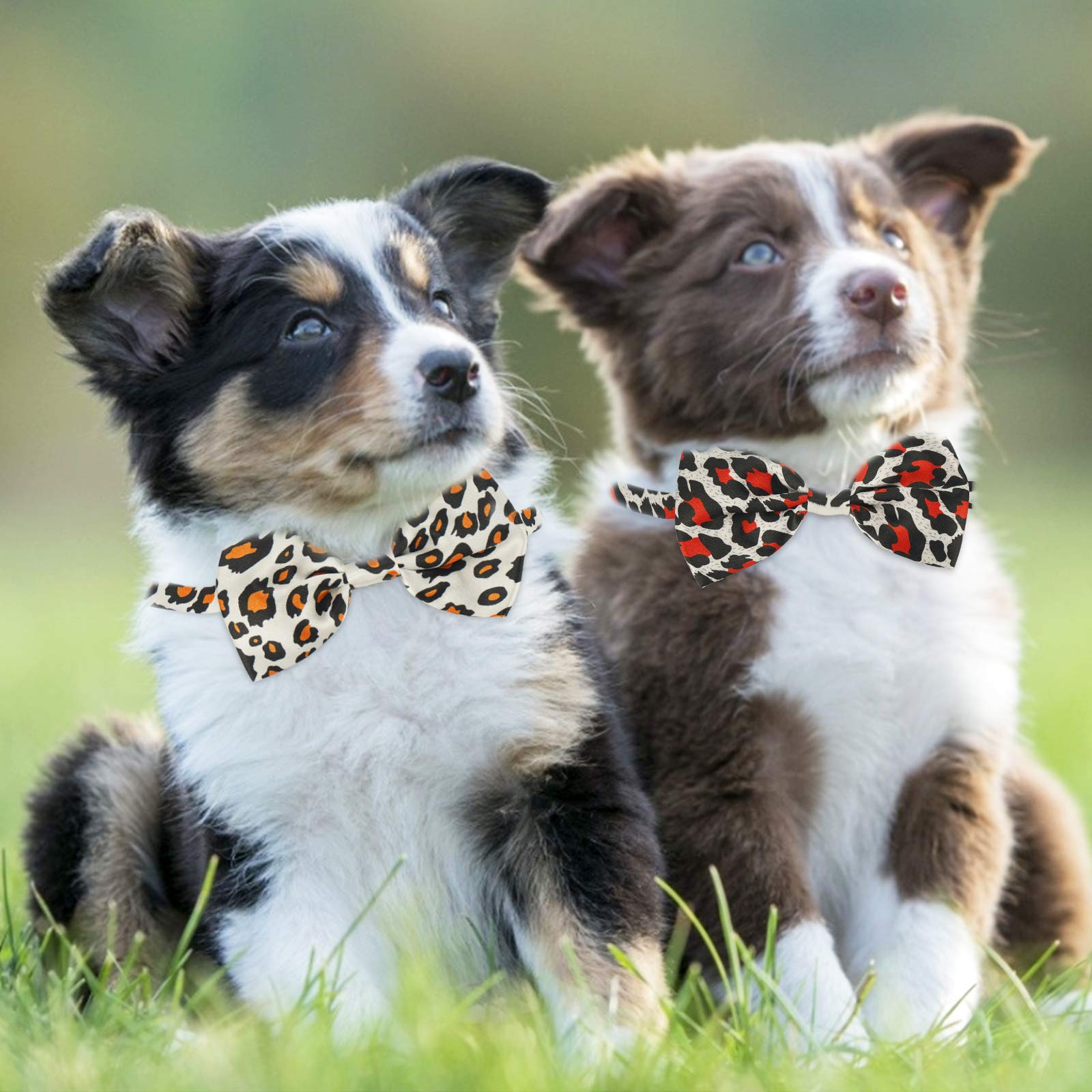 Segarty bow ties in grooming shop setups make gift-ready displays.