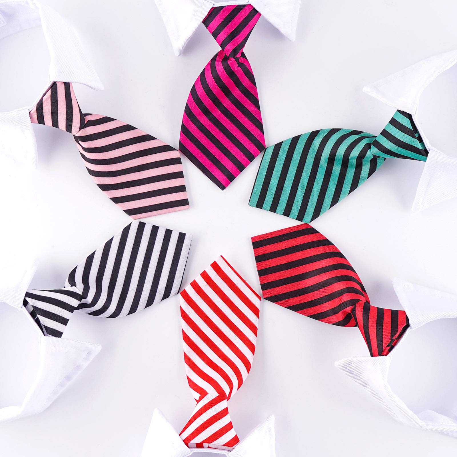 Segarty cat ties dapper look on pet boosts adorable, professional vibes.