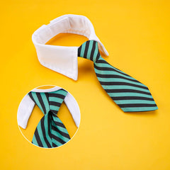 Segarty stripe-pattern bowtie on dog emphasizes dapper, photo-ready style.