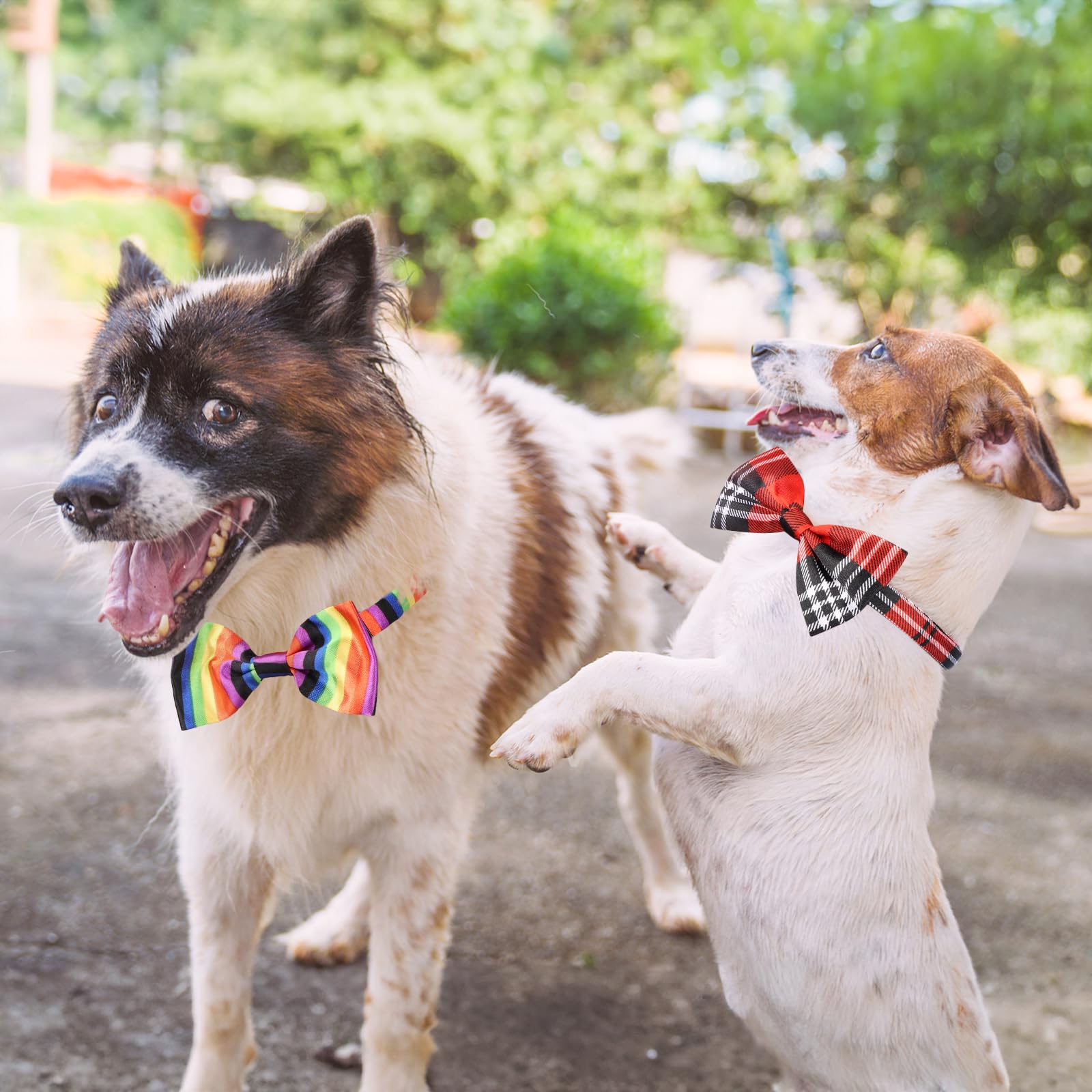 Segarty bow ties enhance pet photos and holiday portraits with vibrant patterns.
