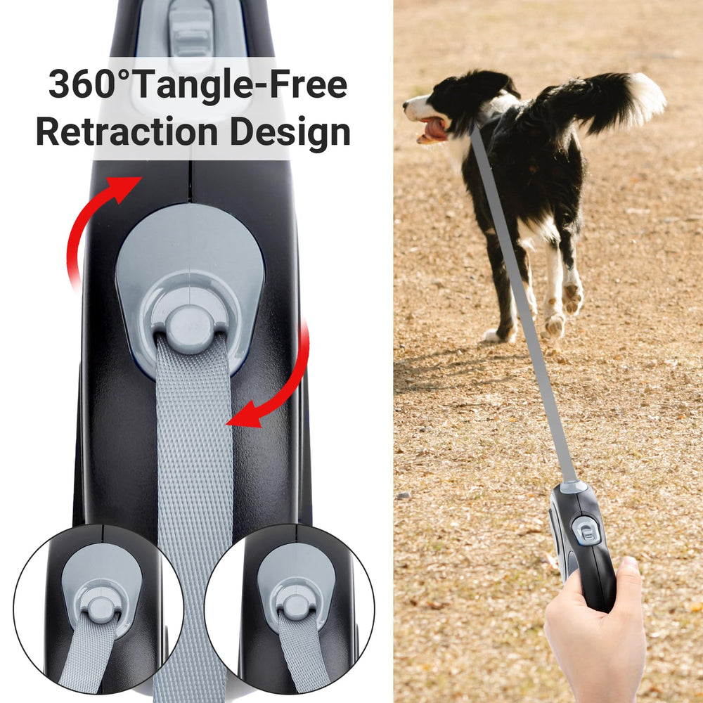 Segarty leash in use with a small dog up to 44lbs for freedom with control.