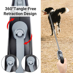Segarty leash in use with a small dog up to 44lbs for freedom with control.