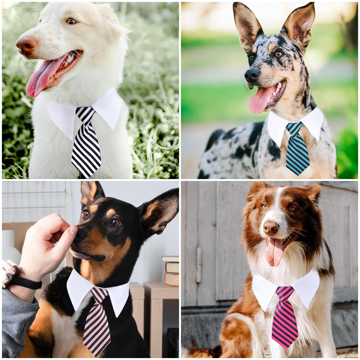 Segarty dog tie medium adjustable-closure tape ensures a secure, comfy fit