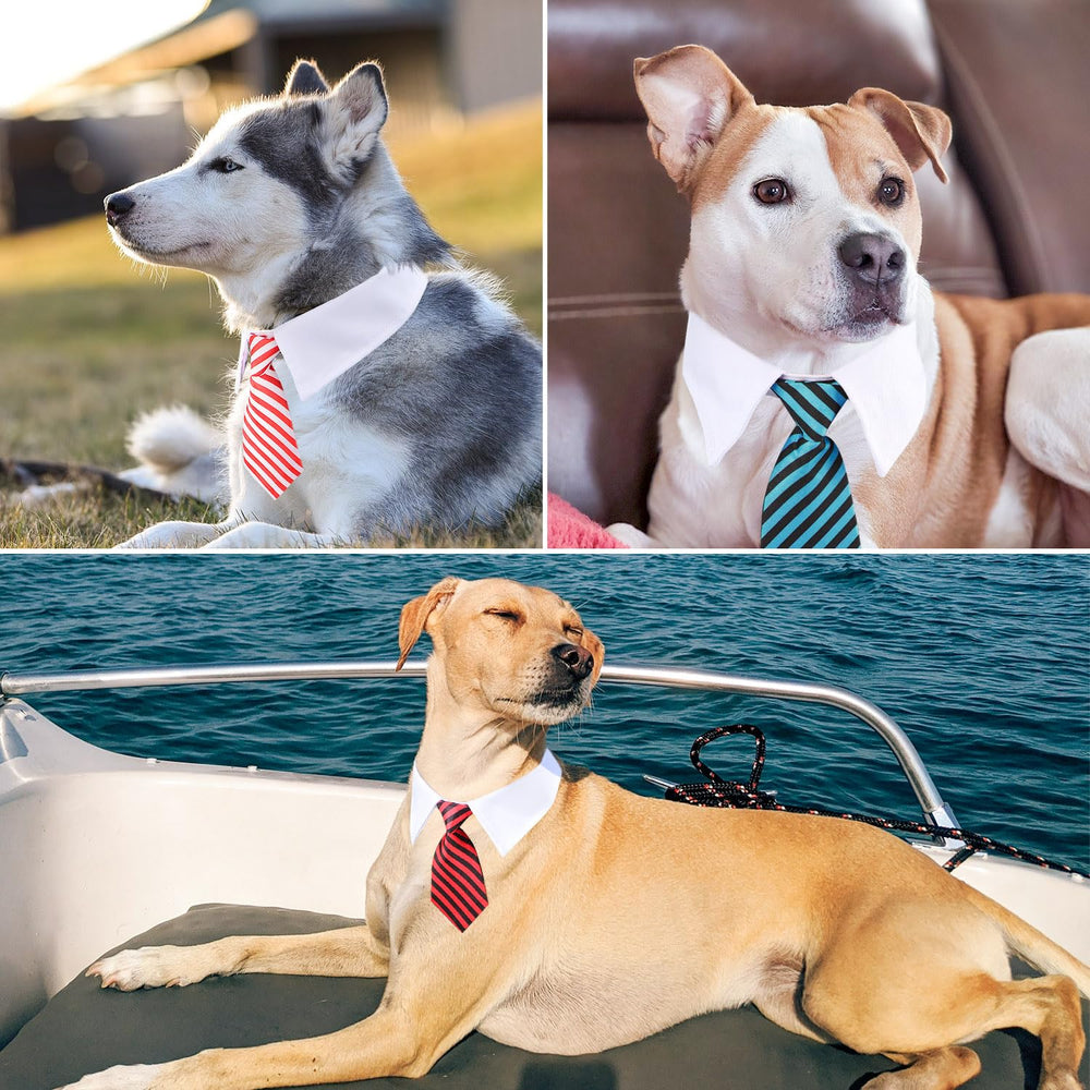 Segarty dog tie medium vintage-dapper-look enhances everyday dress-up moments